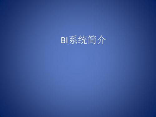 BI简介