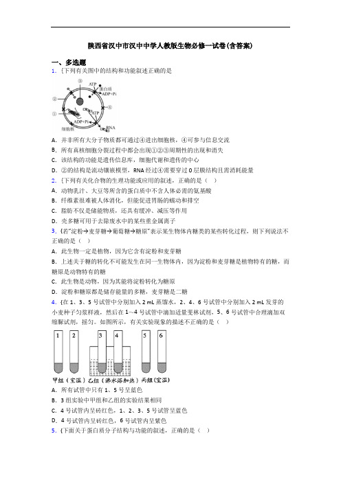 陕西省汉中市汉中中学人教版生物必修一试卷(含答案)