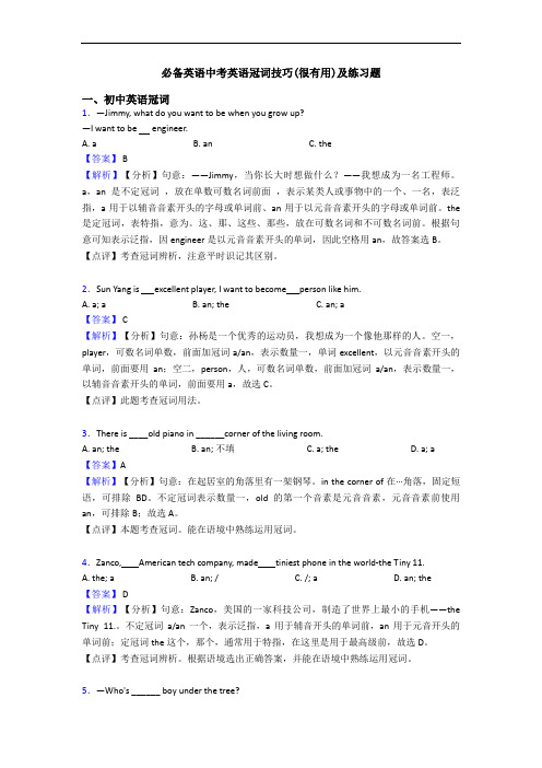 必备英语中考英语冠词技巧(很有用)及练习题