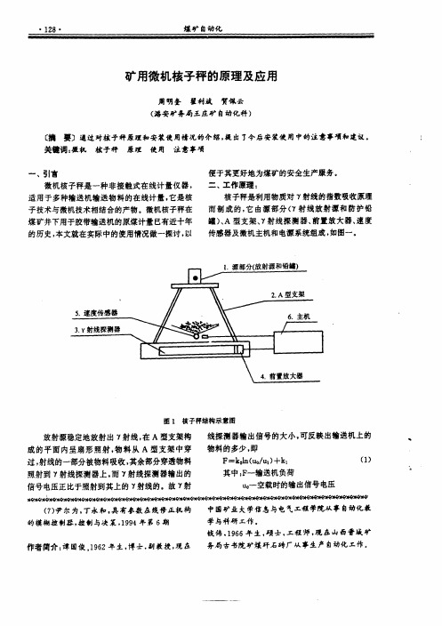 矿用微机核子秤的原理及应用