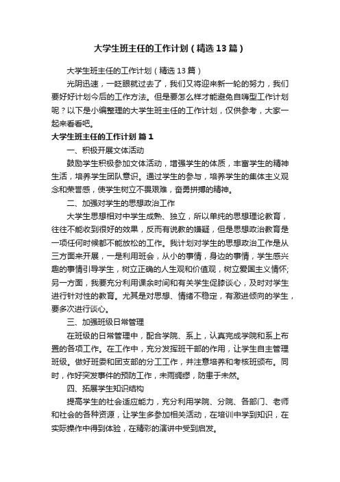 大学生班主任的工作计划（精选13篇）