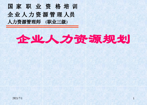 三级人力资源考试    PPt第一章  人力资源规划