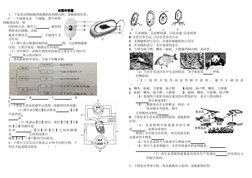 初中生物识图作答专项练习题