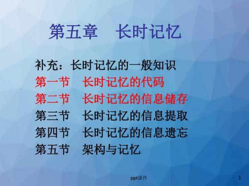 第五章 长时记忆 ppt课件