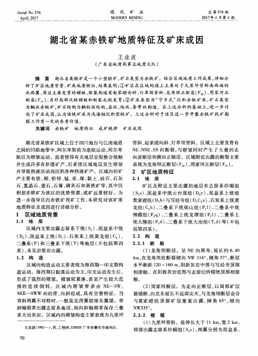 湖北省某赤铁矿地质特征及矿床成因