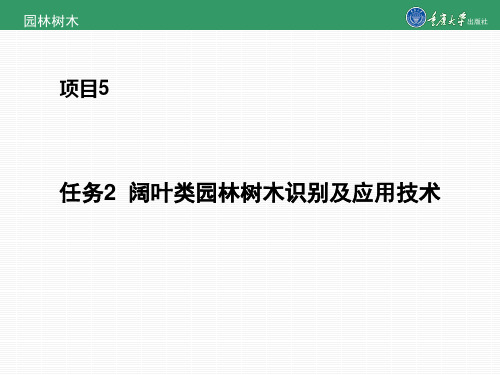 项目5任务2 阔叶类园林树木识别及应用技术 2[125页]