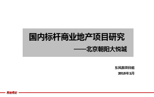 北京朝阳大悦城商业研究