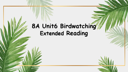 Unit6 Birdwatching Extended Reading课件