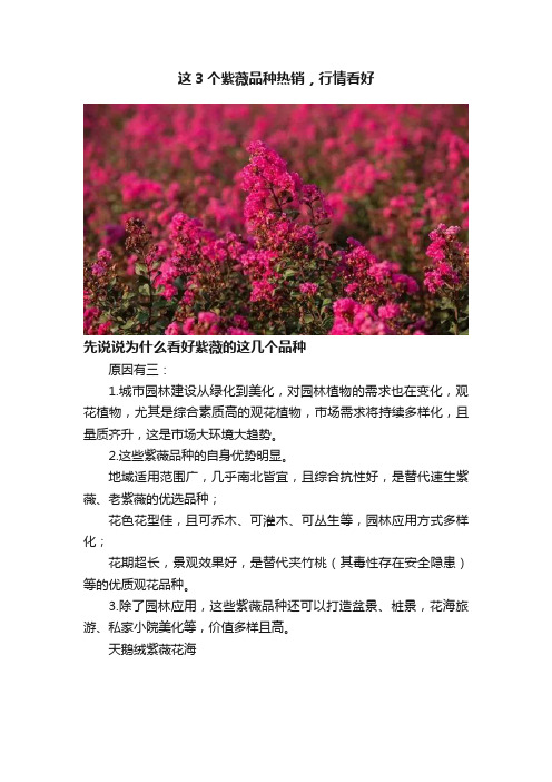 这3个紫薇品种热销，行情看好