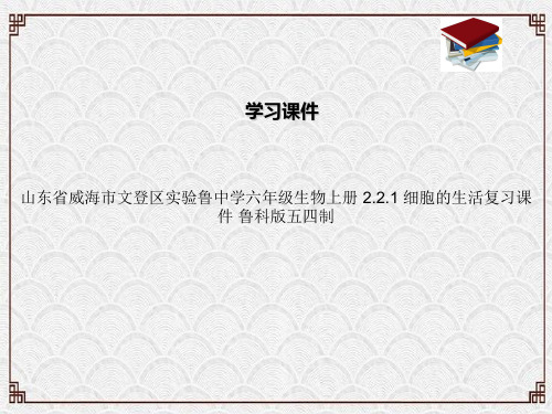 山东省威海市文登区实验鲁中学六年级生物上册 2.2.1 细胞的生活复习课件 鲁科版五四制