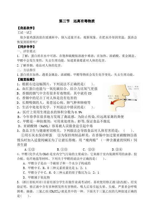 鲁教版化学九年级上册第三节 远离有毒物质.doc
