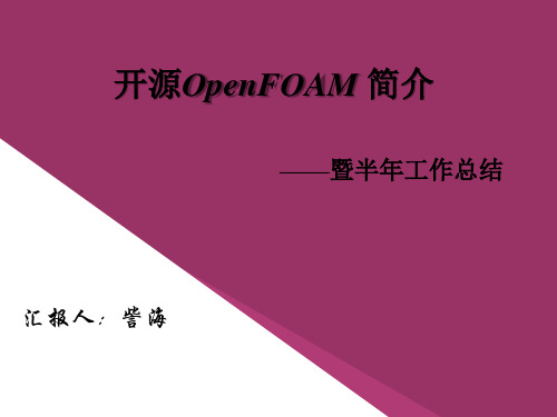 OpenFOAM简介-訾海