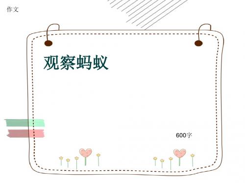 小学四年级作文《观察蚂蚁》600字(共9页PPT)