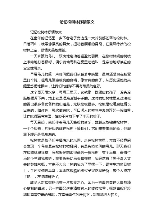 记忆松树林抒情散文