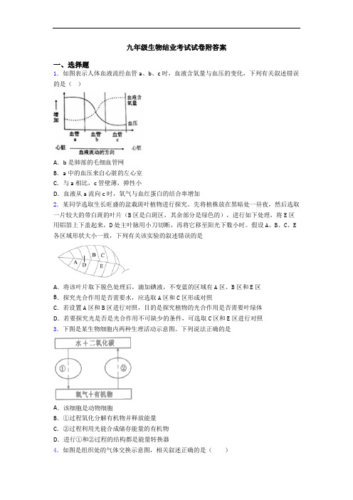 九年级生物结业考试试卷附答案