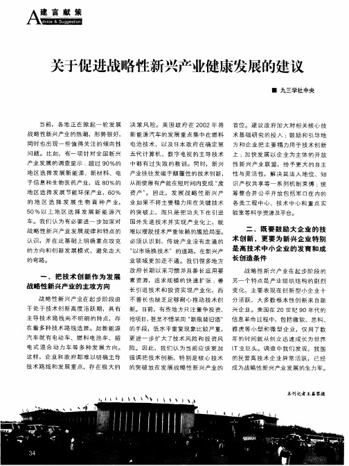 关于促进战略性新兴产业健康发展的建议