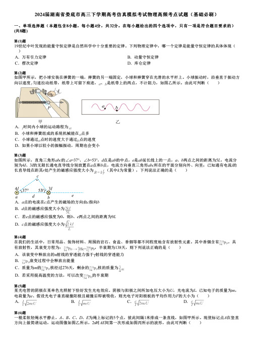 2024届湖南省娄底市高三下学期高考仿真模拟考试物理高频考点试题(基础必刷)