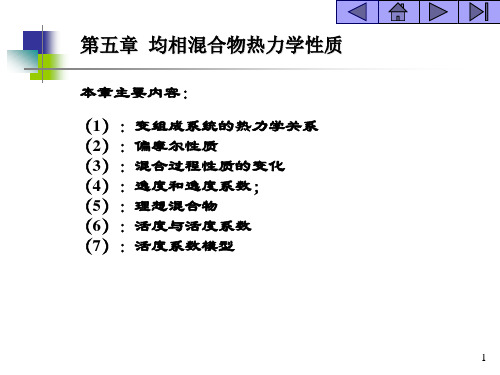 化工热力学_05均相混合物热力学性质