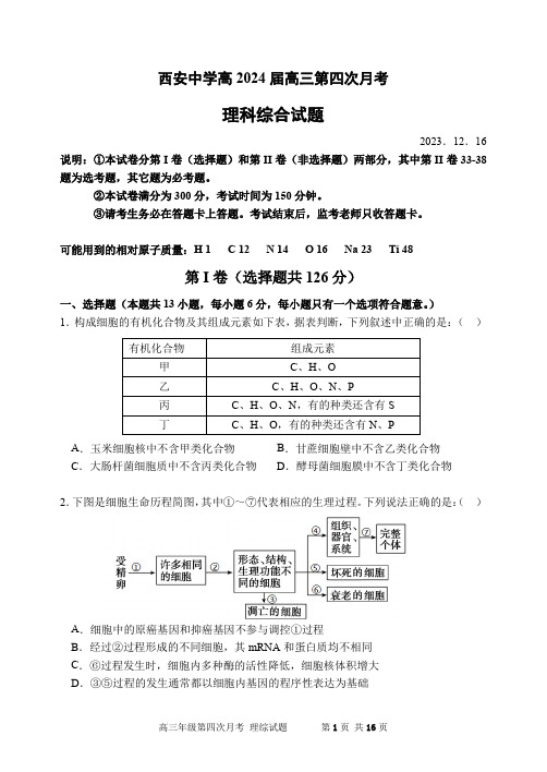 陕西省西安中学2023-2024学年高三上学期第四次月考理综试题