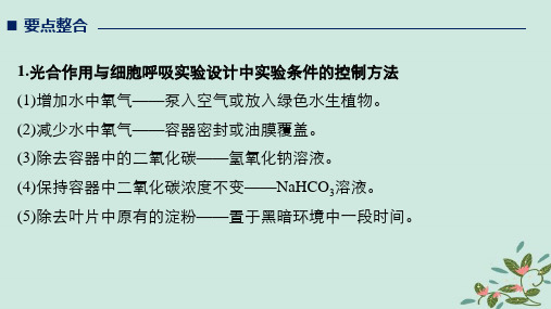 2019版高考生物二轮复习专题二细胞代谢考点3光合作用和细胞呼吸有关探究实验课件