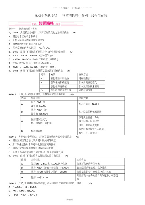 中考化学总复习滚动小专题六物质的检验鉴别共存与除杂习题62