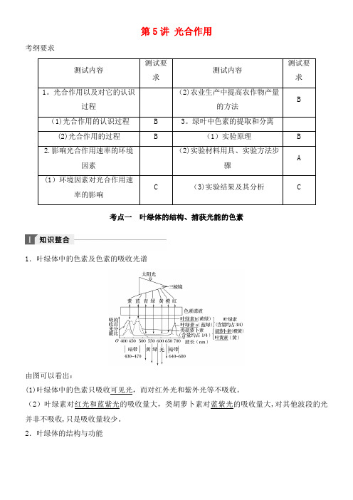 江苏省高考生物(知识整合+考题探究+专题训练)第5讲光合作用讲练新人教版(2021年整理)