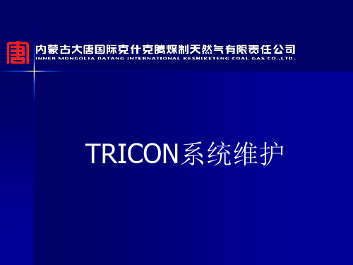 TRICON系统维护汇总