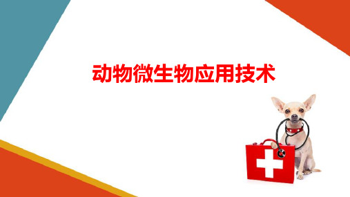 病毒及病毒类疾病的实验室诊断—病毒类疾病的实验室诊断(动物微生物技术课件)