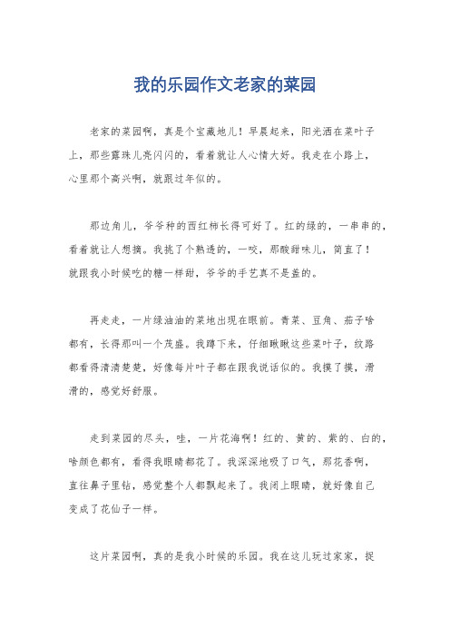 我的乐园作文老家的菜园