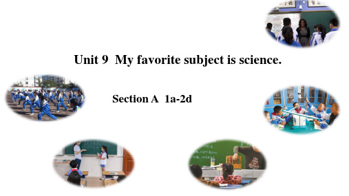 Unit9SectionA1a-2d课件人教版七年级英语上册