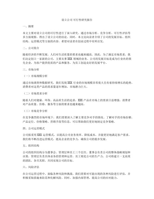 设立公司 可行性研究报告