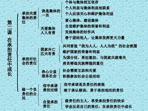 九全知识提纲课件