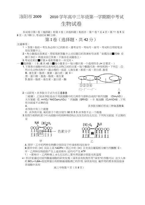 河南洛阳高三上学期期中考试----生物