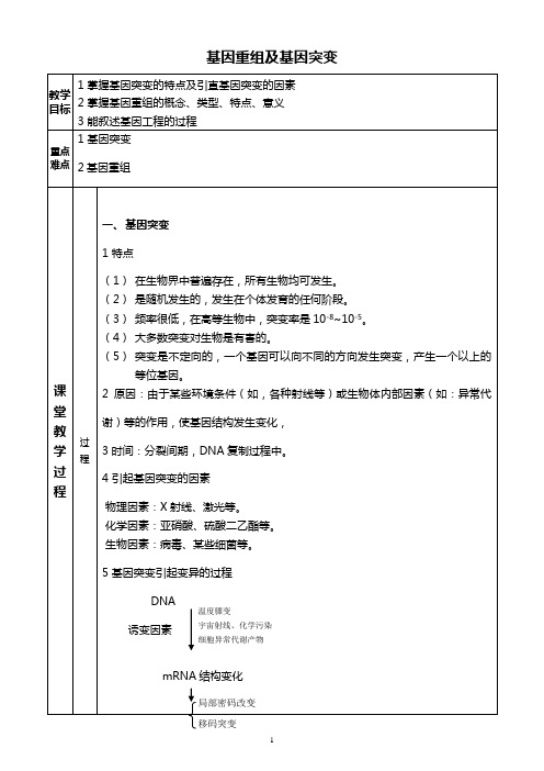 基因重组及基因突变知识点、习题及答案