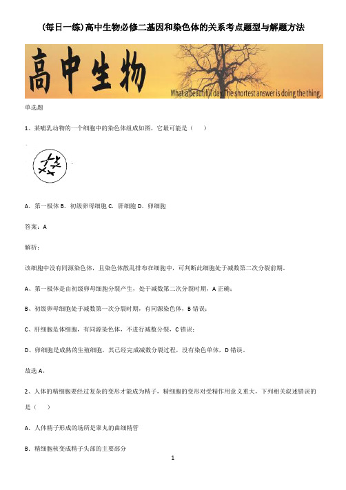 高中生物必修二基因和染色体的关系考点题型与解题方法