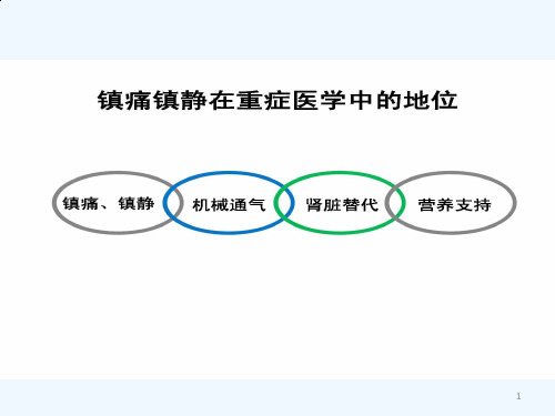 ICU常用评估工具疼痛镇静谵妄徐智会