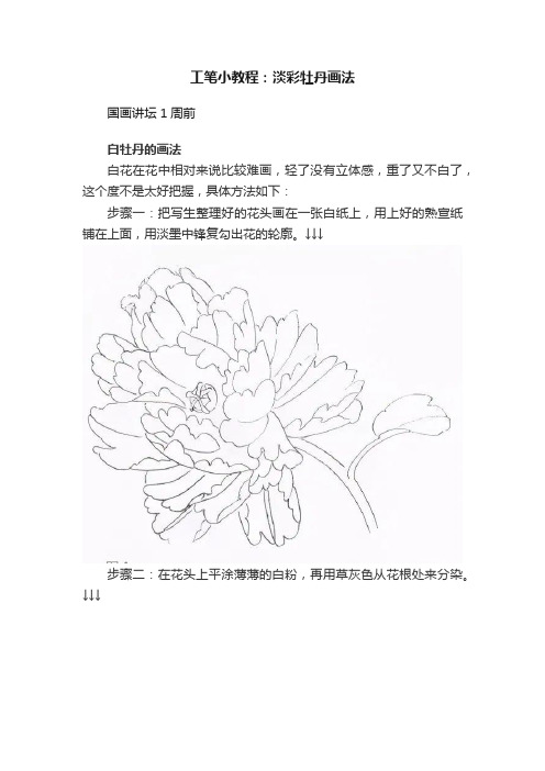 工笔小教程：淡彩牡丹画法