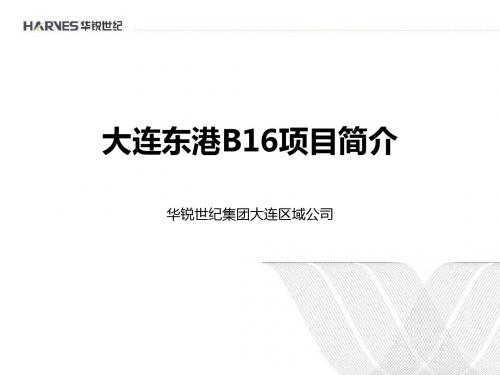 华锐世纪集团大连东港B16项目简介