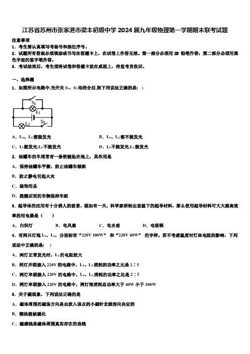 江苏省苏州市张家港市梁丰初级中学2024届九年级物理第一学期期末联考试题含解析