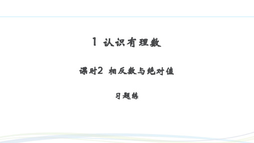 习题练课件：2.1 课时2 相反数与绝对值