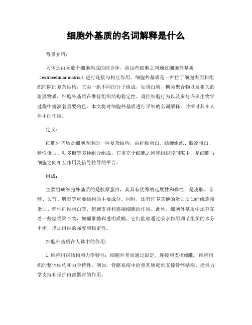 细胞外基质的名词解释是什么