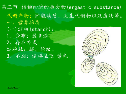 植物细胞的后含物 ppt课件