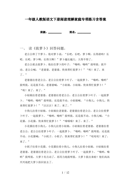 一年级人教版语文下册阅读理解家庭专项练习含答案