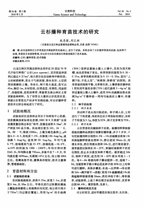 云杉播种育苗技术的研究