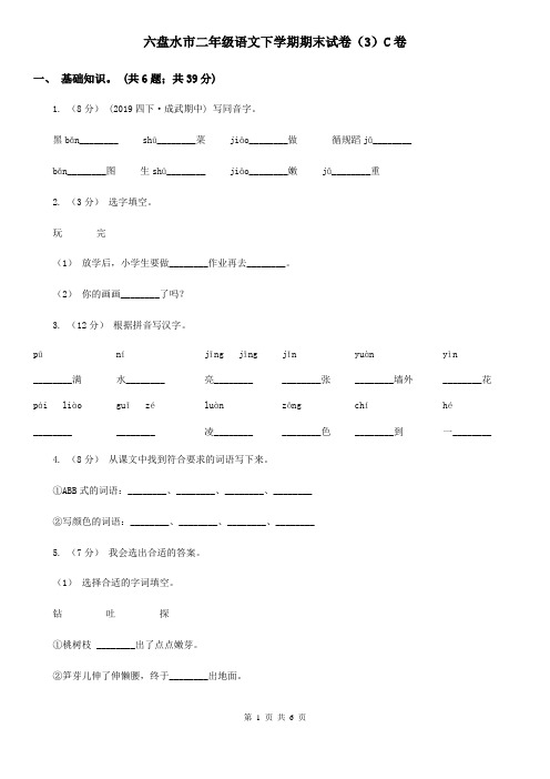 六盘水市二年级语文下学期期末试卷(3)C卷