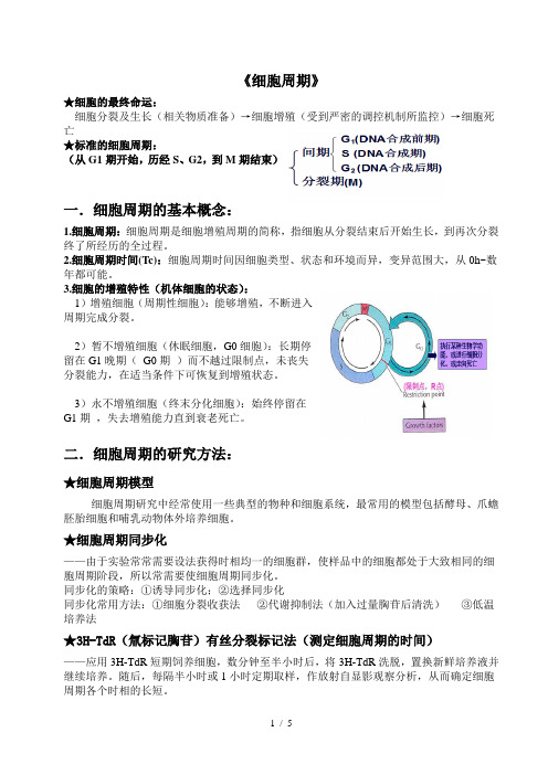 《细胞周期》——细胞生物学知识点总结