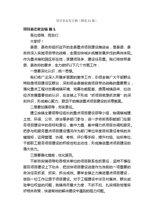 项目表态发言稿（精选11篇）