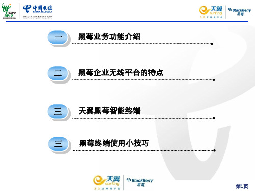 黑莓交流材料23页