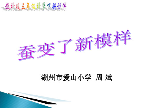 教科版科学三年级下册：2.3 蚕变了新模样1 课件(共9张PPT)