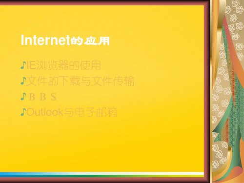 Internet的应用完整ppt